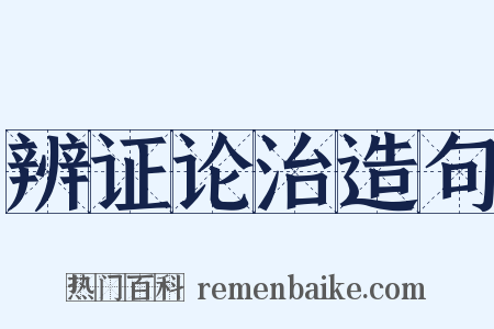 辨证论治造句是什么意思的图片